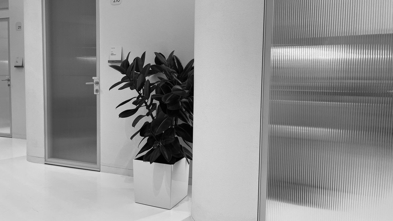 Контагиозный моллюск и бородавки у детей: что это и что делать?