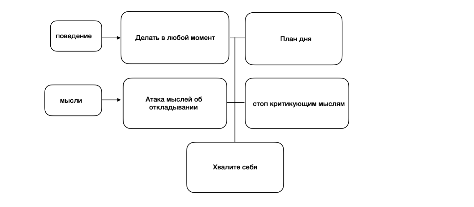 Клиники Чайка