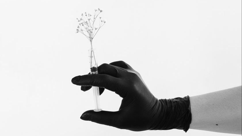 Stop Migraine: Modern Treatment Options with Monoclonal Antibodies