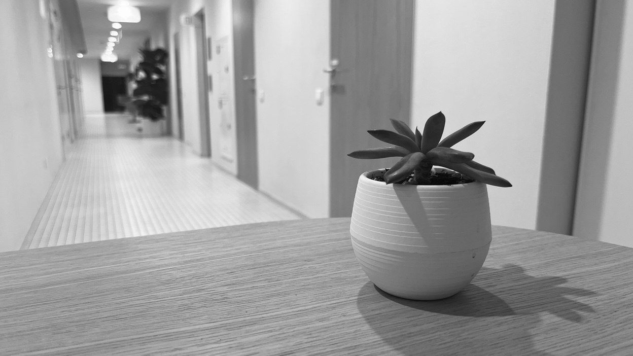 OZEMPIC FACE: не хайпуем, а разбираемся в новых вызовах времени